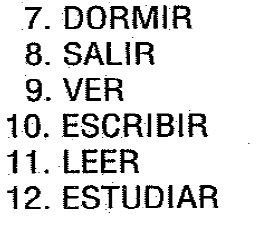 03b.jpg